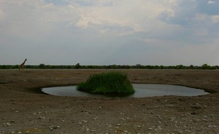 712 Namibia Okt 2006 .JPG